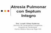 Atresia pulmonar con septum integro