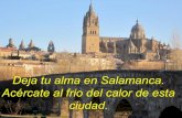 Paseo por Salamanca