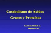Catabolismo de Acidos Grasos y Proteínas