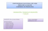 Migración, transculturización y salud   grupo n-5