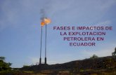 Fases e impacto actividad petrolera ecuador