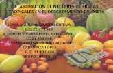 Elaboración de Néctares de frutas tropicales en el departamento del meta