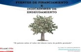 Fuentes de financiamiento e indicadores de endeudamiento