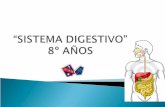 Sistema digestivo 8º