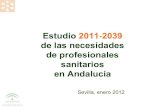 Presentación Estudio de necesidades profesionales SSPA 2012
