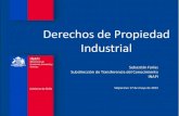 Derechos de Propiedad Industrial. INAPI
