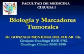 12. biología y marcadores tumorales