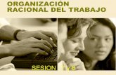 Organización racional del trabajo sesion 7 y 8