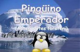 Ping¼ino emperador