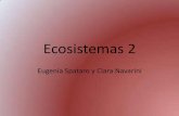 Ecosistemas Clara y Eugenia