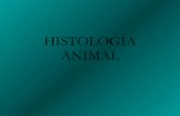 1. histologa-animal-si