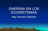 7. energia en los ecosistemas