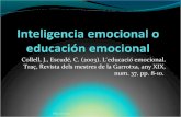 Inteligencia o educación emocional