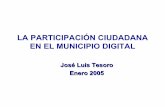 OEA TICs Participación Municipios