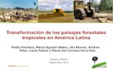 Transformación de los paisajes forestales tropicales en América Latina