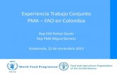 Colombia - Experiencia de trabajo conjunto FAO-PMA