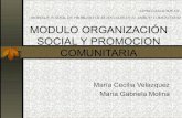 Modulo OrganizacióN Social Y Promocion Comunitaria 2007