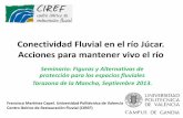 Conectividad Fluvial en el Río Jucar - Resultados Preliminares