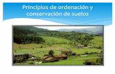 Principios de ordenación y conservación de suelos