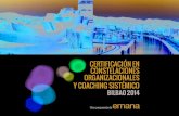 Certificacion constelaciones y coaching sistemico