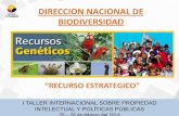 Recursos estratégicos, biodiversidad y recursos genéticos por Verónica Lemache