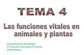 Cono 4º tema 4  las funciones vitales en animales  y plantas