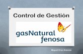 Presentación gas natural fenosa