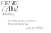 Conclusiones gorabide2062