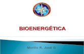 06 bioenergetica