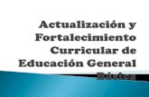 Actualización y fortalecimiento curricular de educación general básica