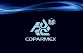 Coparmex 2011