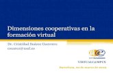 Cristóbal Suárez, Dimensiones Cooperativas Formación Virtual