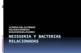 Nisseria y bacterias relacionadas