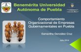 COMPORTAMIENTO ORGANIZACIONAL DE EMPRESAS GUBERNAMENTALES EN PUEBLA
