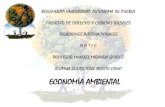 Presentacion economia ambiental
