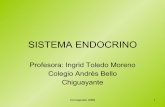 Sistema endocrino 2º año[1]