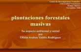 Plantaciones forestales masivas en Mexico