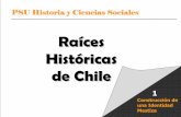 Pueblos Indígenas De Chile