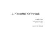 S+ íNdrome Nefr+ ªTico