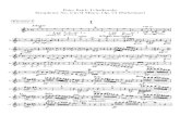 Tchaikovsky /´Sinfonía nº 6.Patética./Clarinetes 1º y 2º