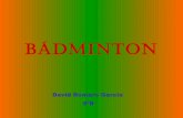 Badminton (por David Romero 5ºB)