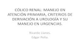 (2014-11-20) colico renal (ppt)