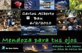 Carlos Alberto Bau - Memorial  28-06-2010