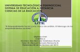 UTE_Marcela_Valdivieso_GONZALO_REMACHE_El emprendimiento social como marco de análisis_El liderazgo de los emprendimientos sociales_08/11/2013