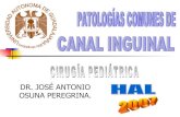 Patologias Canal Inguinal  Ok Final   2007 Con Promed