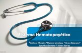 Sistema hematopoyético y linforreticular.