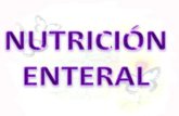 Nutricion Enteral - Vanessa Oliveros Grupo 54800