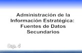 Administración de la información estratégica