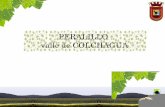 PRESENTACION 2010 - DIAGNOSTICO PERALILLO SECTOR CONEJEROS - GRUPO:  Navarro-Peña-Tapia