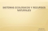 003 sistemas ecologicos